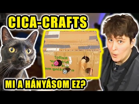 DIY Cica Játékokat Teszteltem a macskáimnak hogy ne harapják le az arcomat álmomban 🫠