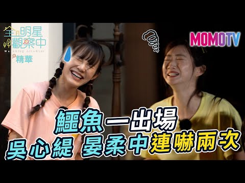 🔎全明星觀察中第二季🏠#5精華：鱷魚一出場 吳心緹、晏柔中被連嚇兩次！