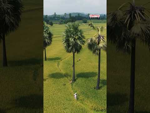 Balagam (Song)