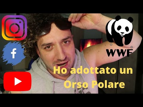 Esperimento Sociale | Ho Adottato Un Orso Polare