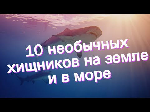 10 необычных хищников на земле и в море