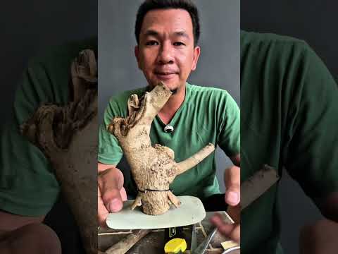 Vlog#36 Cutting tugas bato. #tutorial