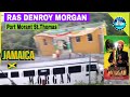 DENROY MORGAN / MORGAN HERITAGE ESTATE / LONG LIFE / PORT MORANT ST THOMAS JAMAICA. 🇯🇲