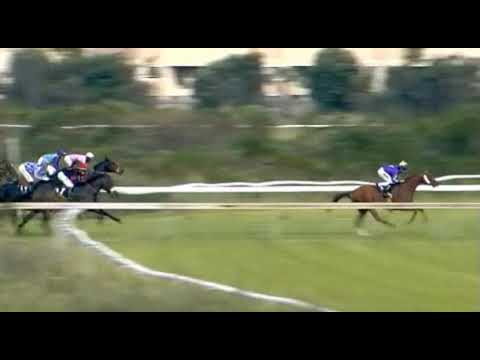 Russet Air - 2019 Cape Merchants(Gr2)