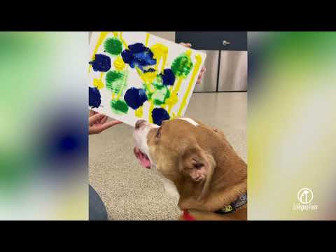 Charlie Makes a Masterpiece!