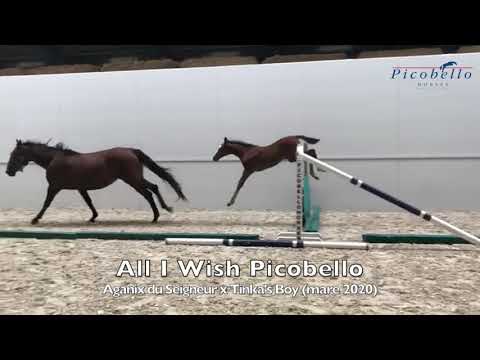 Half sister All I Wish Picobello Z