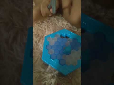 quebra gelo pinguim brinquedo