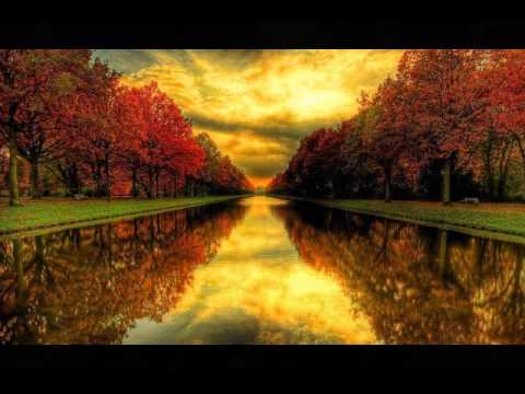 DORELA URBINA - AMEMONOS