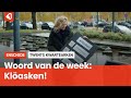 Het Twentse woord van de week: Klöasken