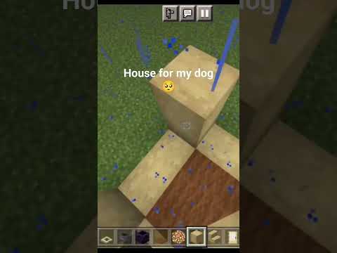 Pimp My PoochPad: Ultimate Minecraft Dog House! 🌟