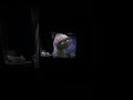 Sesame Street Episode 2123 Ending