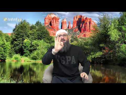 Komentar odabranih kur'anskih ajeta sura El-Beled i Eš-Šems - (87.dio)-  mr. Elvedin Pezić