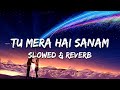 Tu Mera Hai Sanam Altaf Sayyed Slowed Reverb