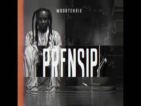 Wood terrib- Prensip- officiel audio...