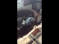 Вся суть баб 