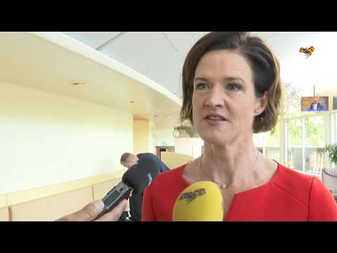 Batra: "Jag tänker lösa Sveriges problem"