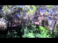 LADYHAGUA - VERDE QUE TE QUIERO VERDE ...