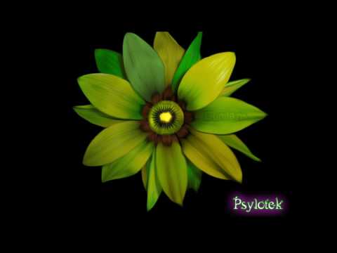 Lunitaris - Duby Tribe [Dub/Tribe]