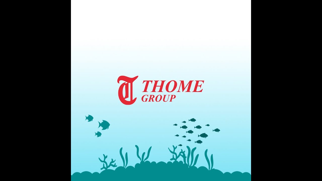 Thome Group Sustainability Report 2020