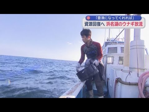 YouTube Video 浜松市の名産品・ウナギの資源量回復を目指して天然ウナギを放流　ワシントン条約の締約国会議で国際取引の規制強化は否決