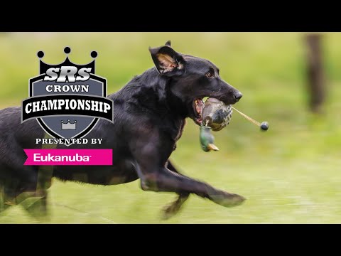 2023 SRS Crown Championship - Series 5 Finals