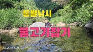 통발 계곡물고기 잡기  / 술안주 잡기  자급자족