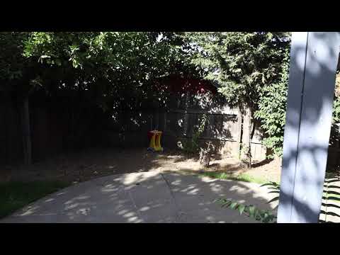 The Bratha - Jet Life (ShotBy@CBSB_916)