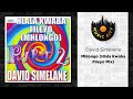 David Simelane Mhlongo Hlala Kwaba Fileyo Mix Official Audio