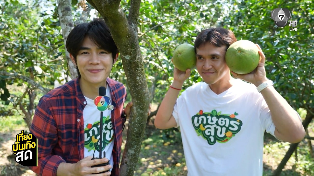 เกษตรสุข พาตะลุยสวนส้มโอพันธุ์ขาวใหญ่ - มิตรรัก ทั