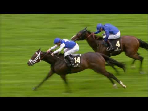 Tepin Tops 2016 Woodbine Mile Field