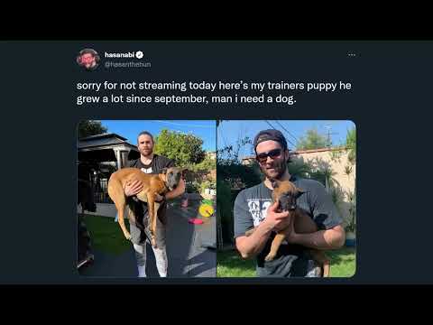 HasanAbi February 20, 2022 – NO STREAM TODAY