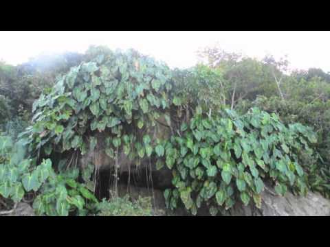 Brazil in the Winter