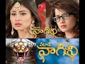 Nagini Serial Title Song Telugu
