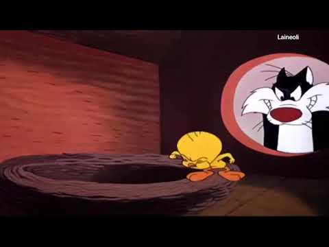 PiuPiu & Frajola ( eu acho que vi um gatinho) (dublado) (Português)