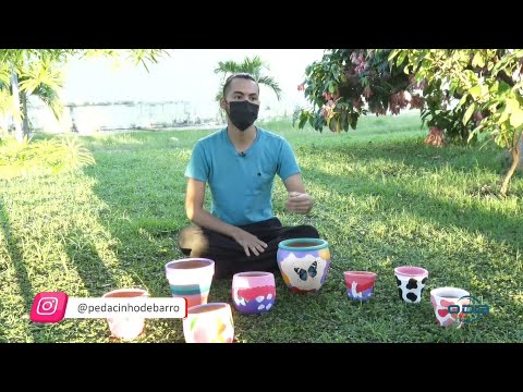 Pandemia impulsiona gosto pelas pessoas por plantas e vasos decorados 10 03 2022