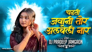 Download lagu Chadti Jawani Tor Albeli Naar - Cg Remix - Dj Pradeep Jamgaon #2026 mp3