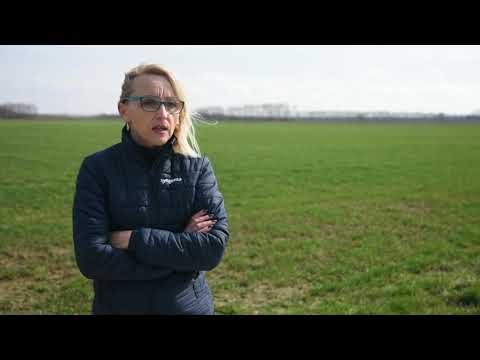 RODNA godina ili ne?