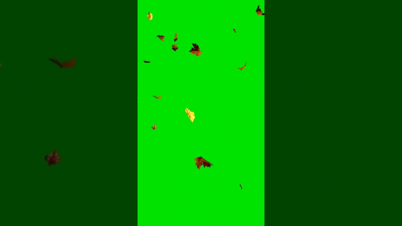 leaf 🌿 petals falling Green screen video effects #explore #trending #alightmotion #kinemaster