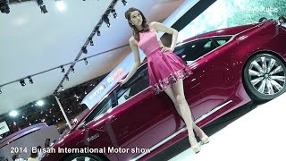 2014 부산모터쇼도요타관  모델 신소이