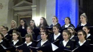 preview picture of video 'Torviscosa Concerto di Natale Artemìa 2012'