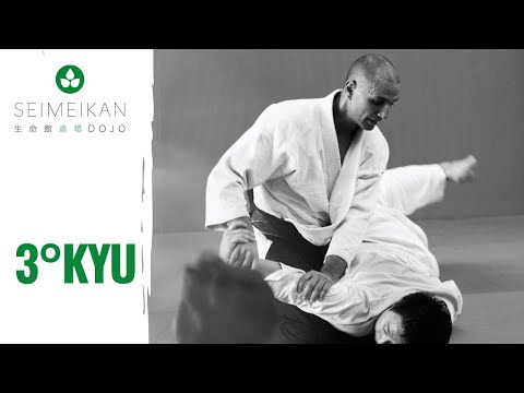 Aikido - Belt exam - 3rd kyu