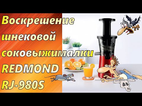Ремонт шнековой соковыжималки REDMOND RJ-980S, диагноз – не включается.