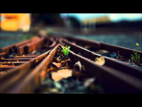 Benjamin Francis Leftwich - Butterfly Culture (JacM Remix)