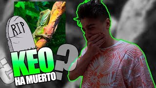 ¿QUE LE HA PASADO A KEO EL DRAGÓN? [bytarifa]