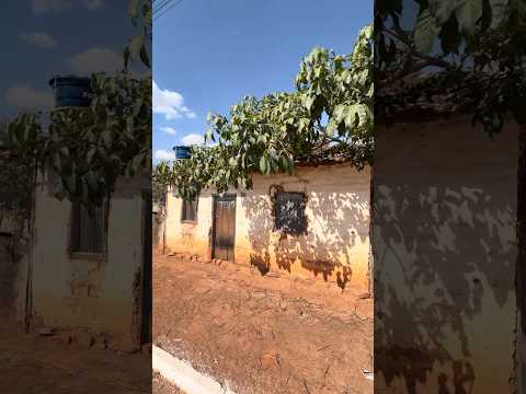Em São Francisco de Goiás achei uma casinha centenária