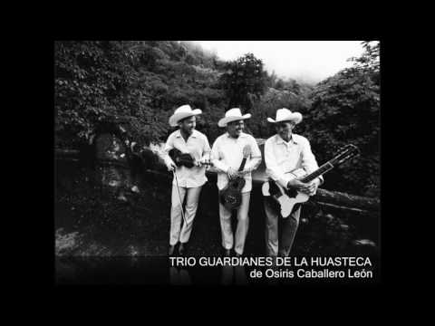 Trio Guardianes de la Huasteca-Xochipitzauatl