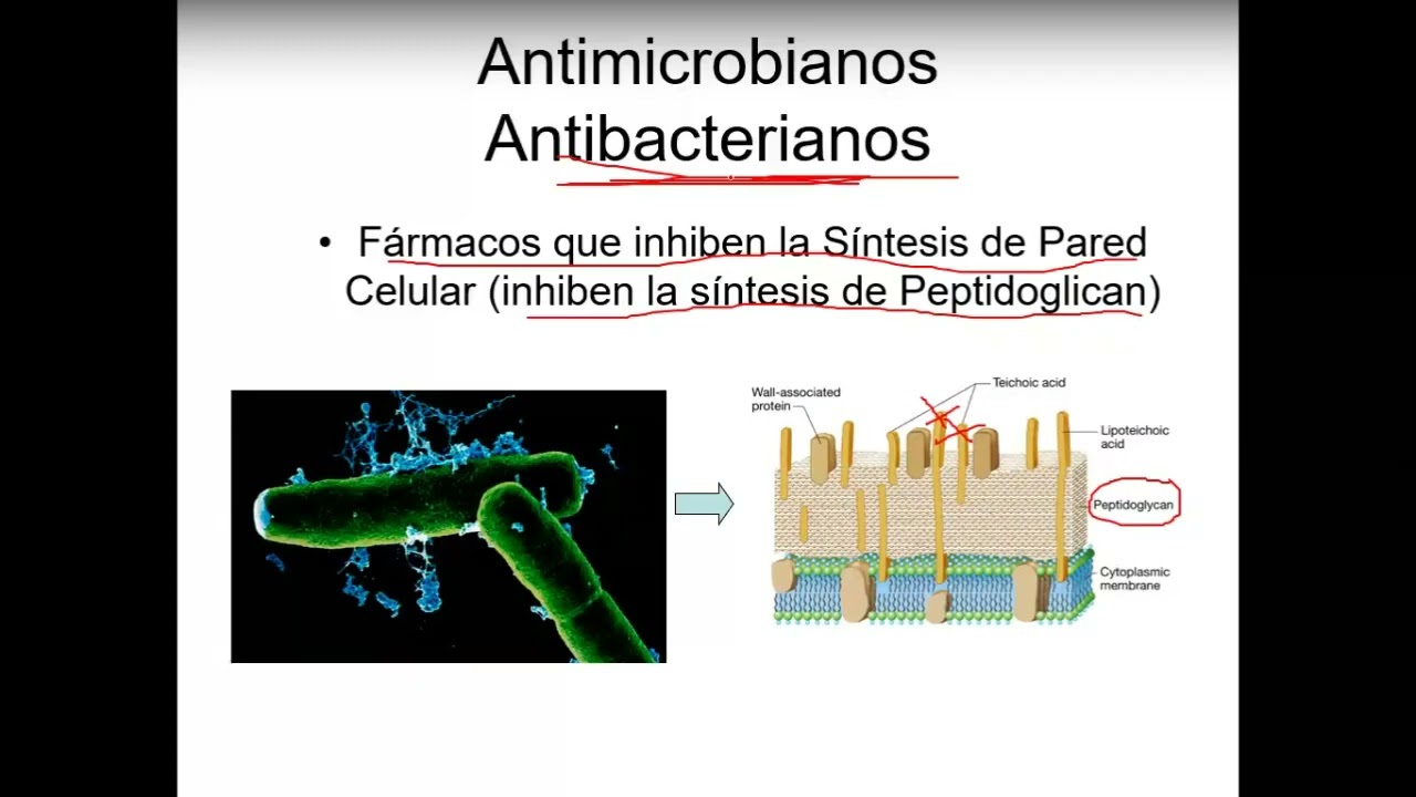 Quimioterapia III