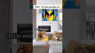 Download lagu Batman or Wolverine🤔#meme#catmeme#cat#funnycat#funny#shorts#funny#viral#fyp mp3