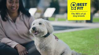  Guardian® GPS 2.0 Dog Fence + Tracking