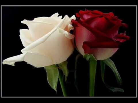 Tu Meri Ibtada Hai, Tu Meri Intaha Hai  ... Kumar Sanu.flv